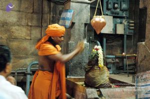 20061123 DSC 5275 CMP WM01.jpg