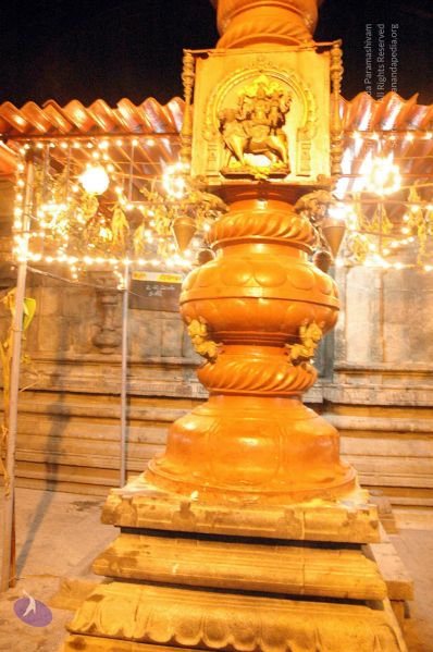 File:20061123 DSC 5278 CMP WM01.jpg