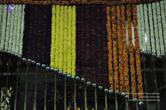 20061204 Photo 1044 1Nb6C21l7b0lhjGAH3V2QhjP3RtEa68-E.jpg