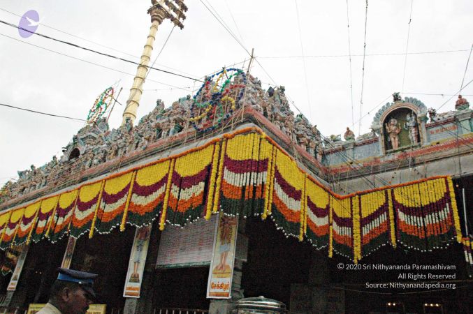 20061204 Photo 312 1jhjjhpIh7-5HikRVxmpsDN22AHhd MCX.jpg