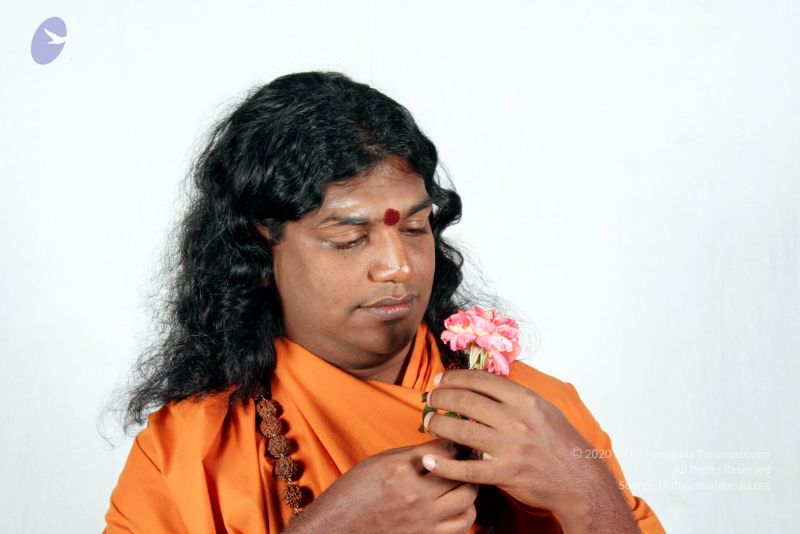 File:20061208 IMG 3888 CMP WM 0011.jpg