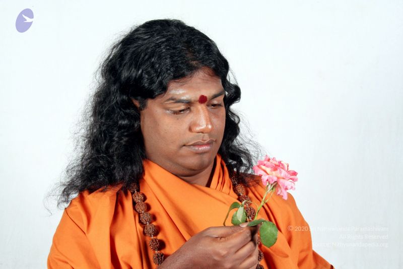 File:20061208 IMG 3889 CMP WM 0011.jpg