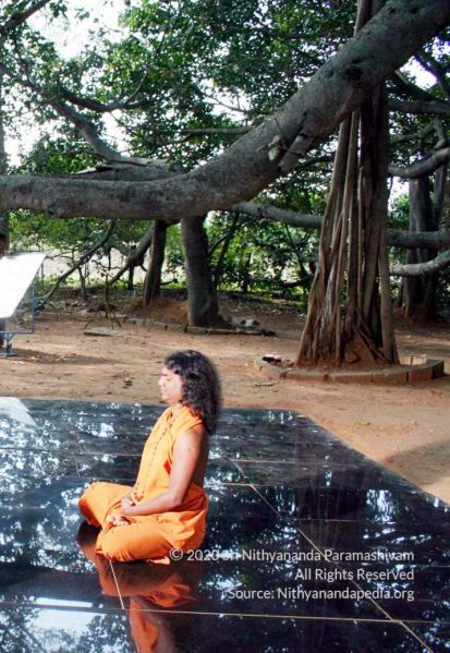 File:20061209 IMG 4579 CMP WM 00.jpg