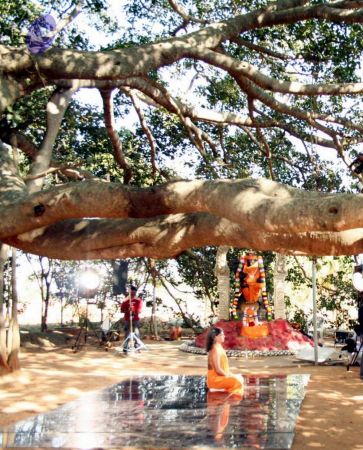 20061209 IMG 4592 CMP WM 00.jpg