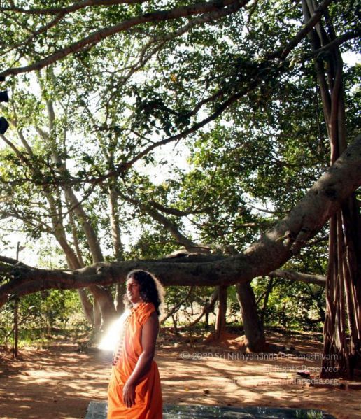 File:20061209 IMG 4619 CMP WM 00.jpg