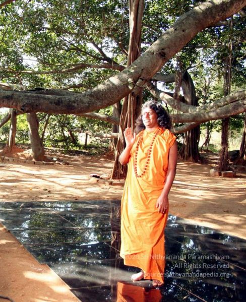 File:20061209 IMG 4624 CMP WM 00.jpg