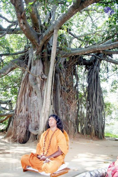 File:20061209 IMG 4795 CMP WM 00.jpg