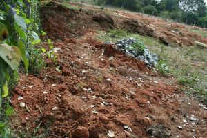 20061212 2596 CMP WM.jpg