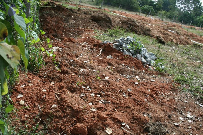 File:20061212 2596 CMP WM.jpg