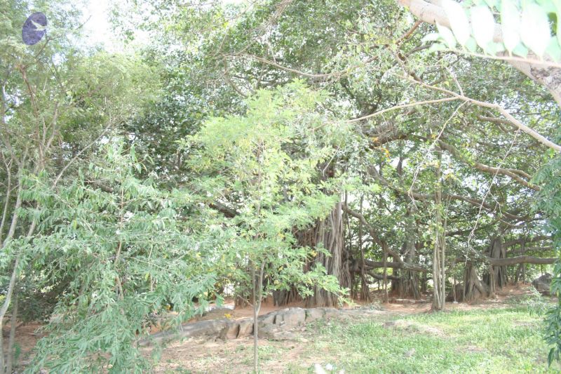 File:20061212 2609 CMP WM.jpg