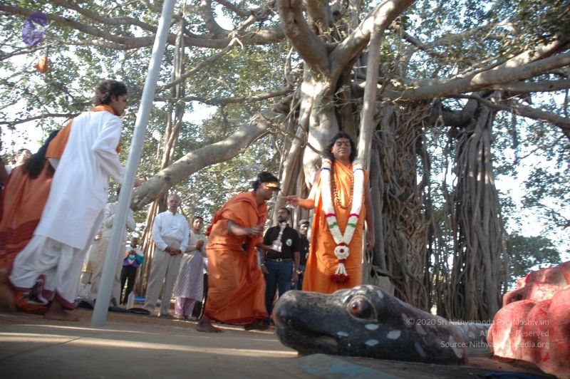 File:20061225 Photo 1461 1soECdSHZE2D8IKtfHLNZAwas3ZUYGxIt.JPG