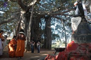 20061225 Photo 1467 1LOag5i0fC7rwIilEbpq2kIX17S9kuuEq.JPG