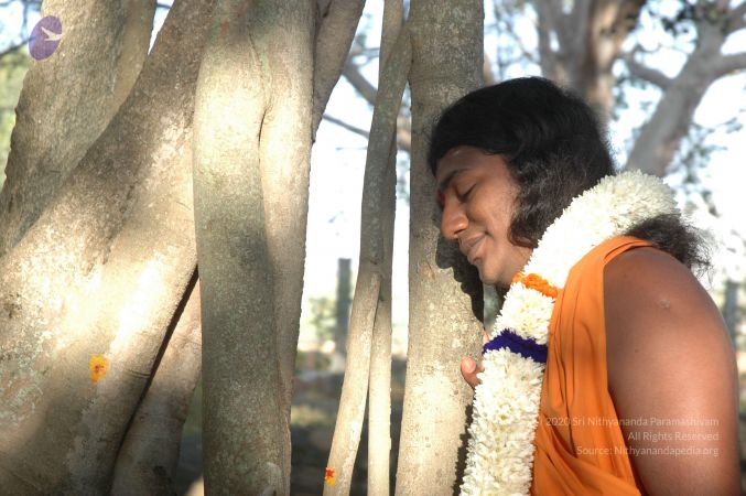 20061225 Photo 1468 1Yt6 ZK roMqU1yibEVIsMlKIA5tNbypB.JPG