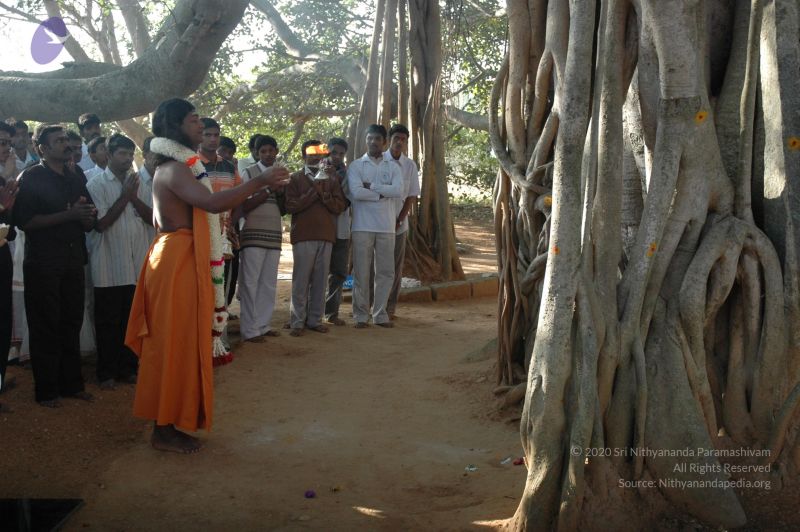 File:20061225 Photo 1473 1WhQG O5eZIMIol75oxtH U3WJSonYe6m.JPG