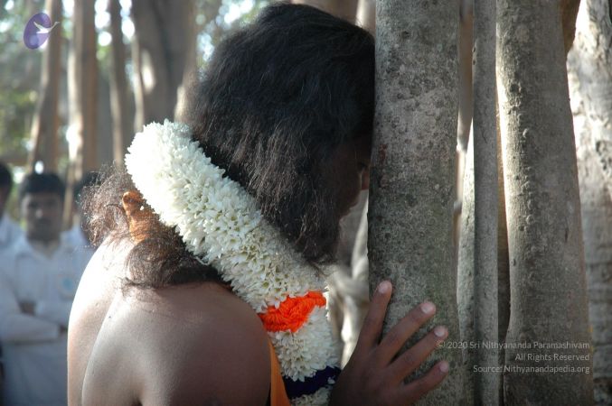 20061225 Photo 1480 14AKPAexP1rlJ3LO00YRMf8yNLnXwyl7L.JPG