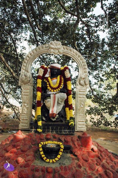 File:20061226DSC 9014 CMP WM 00.jpg