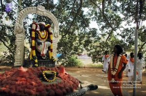 20061226DSC 9017 CMP WM 00.jpg