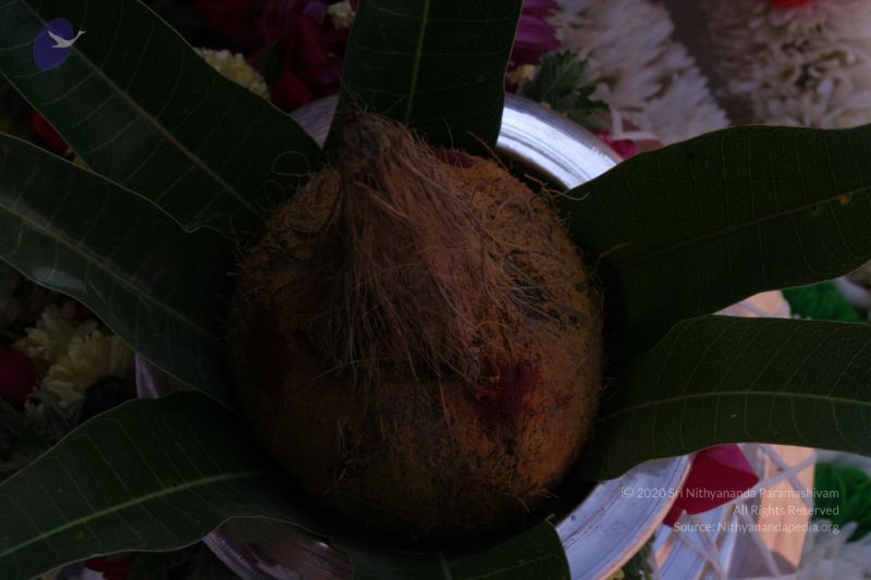 File:20061228 Photo 1074 17L1Z0fVcQ has1VC-N0irR-sraSiucLB.JPG