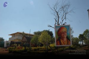 20061229 DSC 5831 CMP WM.jpg