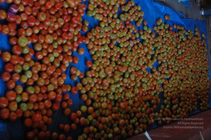 File:20061229 DSC 5840 CMP WM.jpg