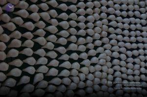 20061229 DSC 5873 CMP WM.jpg