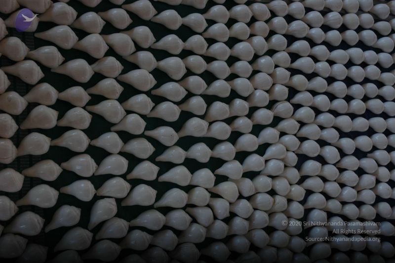 File:20061229 DSC 5873 CMP WM.jpg