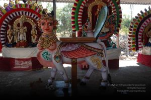 20061229 DSC 5877 CMP WM.jpg