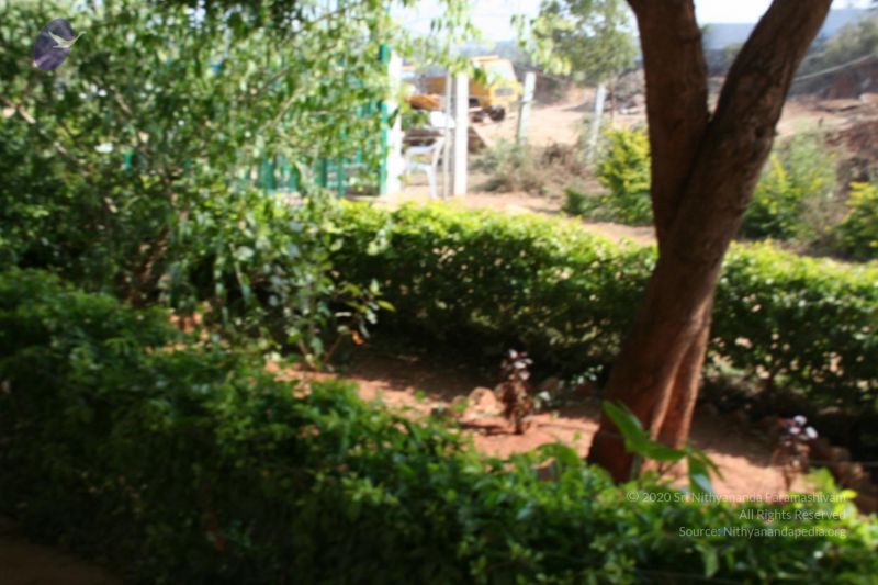 File:20061230 Photo 1179 13XnsDNN2fmy5NukyqJXwPK5VQBGRfoCo.JPG