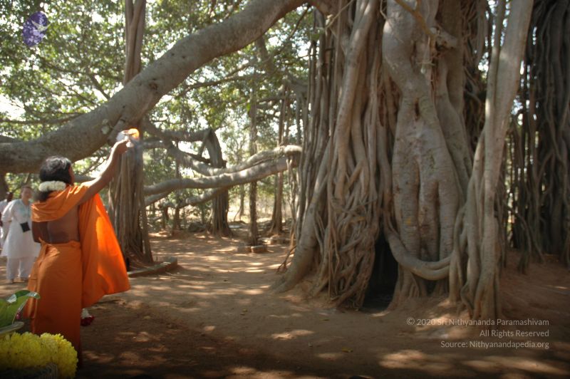 File:20061230 Photo 1257 1IY-F4BemQtcnIE3g8gCIboSSuLJasVrL.JPG