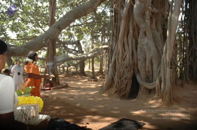 20061230 Photo 1258 1QeNfe95WCDzrkwt-e 1XB-HwnZ2jasEk.JPG