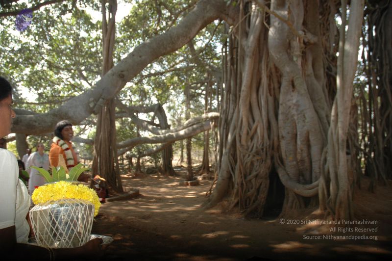 File:20061230 Photo 1259 1xpLJbFLAnTTl-SYVb9rP4SPRUEoIEHpB.JPG