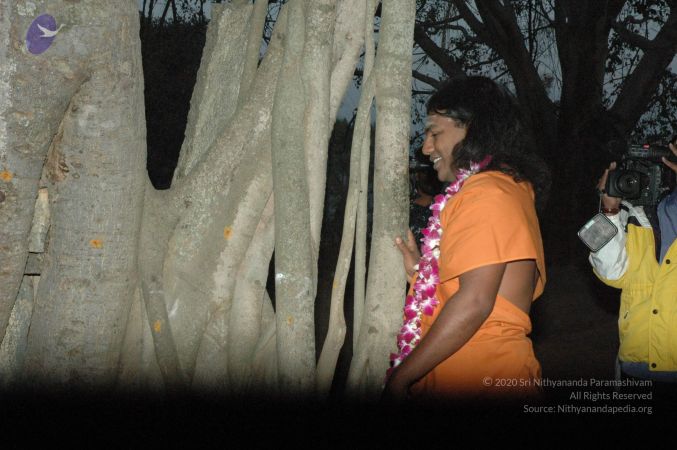 20061231 Photo 1036 1VvD45ThiQ8CCDTy3YVkXwt8L e0cNYw1.JPG