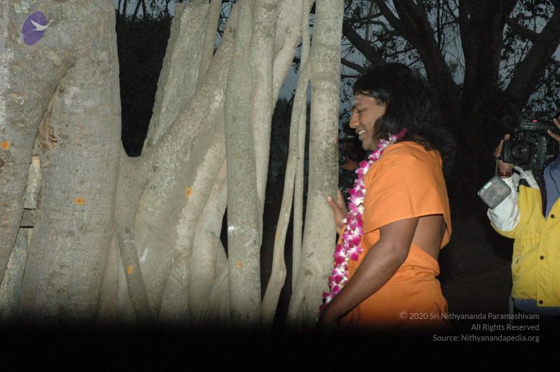 File:20061231 Photo 1036 1VvD45ThiQ8CCDTy3YVkXwt8L e0cNYw1.JPG