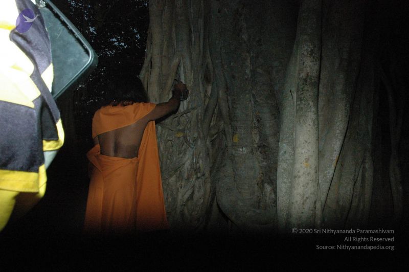 File:20061231 Photo 1037 1-vTSOBXDMSbLrk g0ZI9G4-SSKcaHurI.JPG