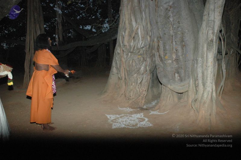 File:20061231 Photo 1043 1F9J0Ak-73Fk0PlD0qg0xfhbWY8 wQgXT.JPG