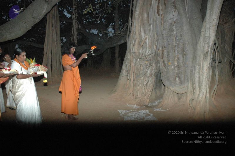 File:20061231 Photo 1045 12bFXw1X33ys8Uc1OYtd7e20erPVNYZfd.JPG