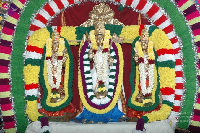 20061231 Photo 1253 1Bs6zzC4-3NRFxGR7dk174bbMxTzKzvft.JPG