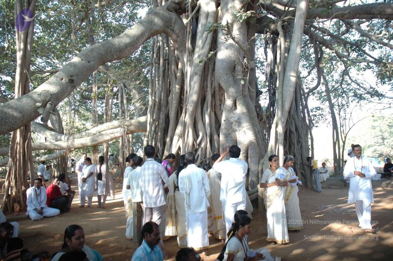 File:20061231 Photo 1401 17mrAh42095qo3mycOZCsujsBOBIQwodE.JPG