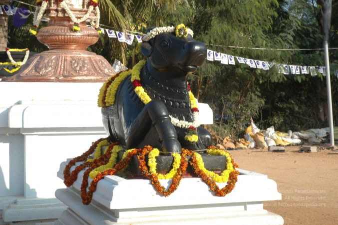 20061231 Photo 1671 1Ie-UKFKrLD nQAe1ANQUx54FftrnhzF3.JPG