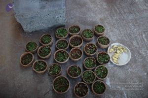 20061231 Photo 1715 1keew9pijPdOPXJRZa1NICxiMtUCydOCM.JPG