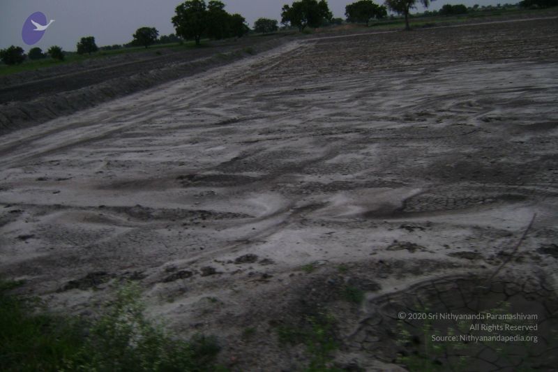 File:2006 DSC01429 CMP WM.jpg