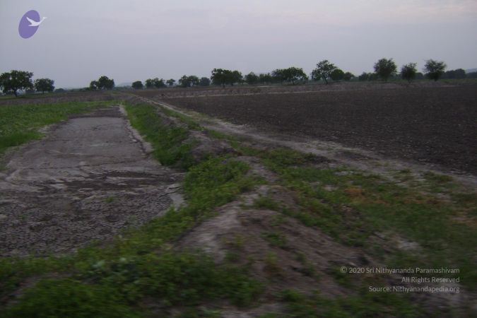 2006 DSC01431 CMP WM.jpg