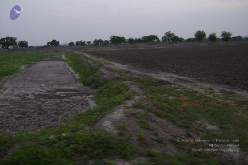 File:2006 DSC01431 CMP WM.jpg