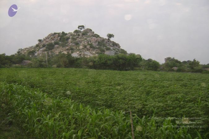 2006 DSC01433 CMP WM.jpg