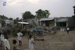 2006 DSC01438 CMP WM.jpg