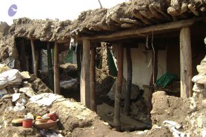 2006 DSC01486 CMP WM.jpg