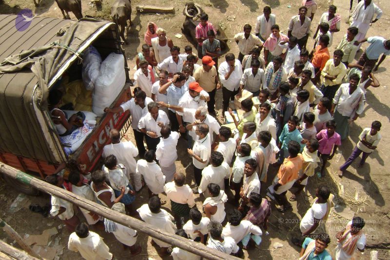 File:2006 DSC01508 CMP WM.jpg