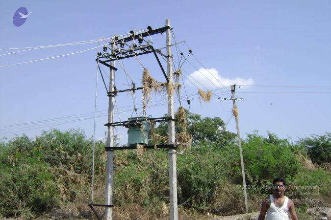 2006 DSC01648 CMP WM.jpg