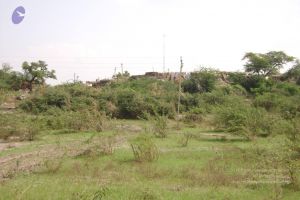 2006 DSC01649 CMP WM.jpg