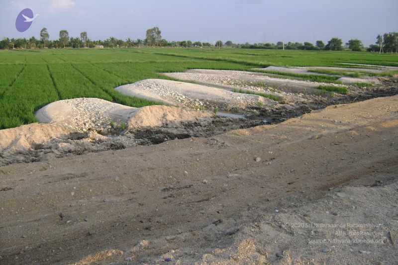 File:2006 DSC01731 CMP WM.jpg